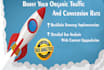 do the complete website audit