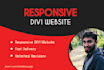 design a professional website or landing page in divi theme