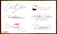 design handwritten signature logo with full copyright