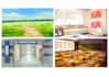 draw background for anime, video, visual novel, or game
