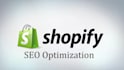 fix all your shopify stores issues