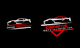 do professional and custom business logo design and branding