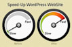 do wordpress speed optimization and speed up wordpress