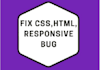 fix wordpress CSS error and responsive error