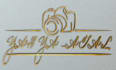 design handwritten, scripted, signature, calligraphy logo
