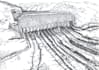 create high quality ink drawing on the paper with a detailed and artistic touch