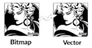 convert any of bitmap design to vector