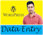 do wordpress content uploads and data entry, product listings