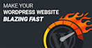 optimize wordpress speed and page speed up optimization within 24hrs