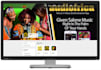 fix web pages bugs and maintenance of your wix, wordpress and shopify site