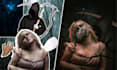 do professional photoshop and photo manipulation