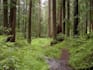 do any research on environmental science