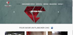 develop PHP custom cms for your site