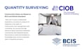 prepare detailed cost estimates and boqs for UK projects