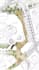 do your architectural site plan or master plan