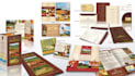 design a professional flyer