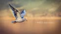 make you a professional photo and video slideshow