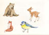 illustrate animals with watercolour