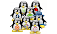 provide any linux system support