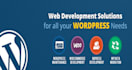 create responsive wordpress website with basic SEO