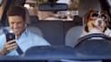 create this funny driving dog video ad for your business