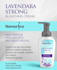 create flyer, brochure and insert design