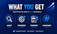 grow your instagram organically