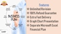 create professional, detailed business,financial plan