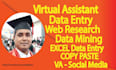 be your virtual assistant for data entry, copy paste, administrative work