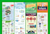 create stunning infographic in 24 hours clean satisfying