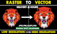 vectorise your logo, convert image to vector