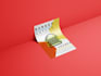 do custom flyer design in 24 hours
