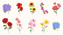 botanical logo for label and food packaging design