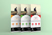 design eye catching roll up, retractable banner