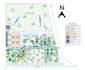 create unique 2d or 3d site and landscape plan