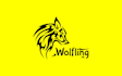 develop a business or brand logo for you