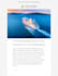 design mailchimp or pardot email newsletter template