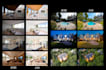 edit fast and high quality real estate photo