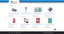 build profitable travel turnkey website business