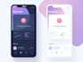 develop professional ios app