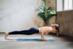 deliver fat loss home workout plan to you