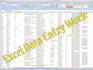 do fast and accurate data entry, copy paste, web research work