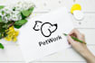 professional custom logo design
