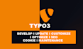 quickly create website in wordpress typo3 contao shopify magento