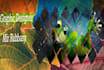 create all social media cover image