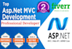 do development in asp net mvc, asp net core, asp net web api