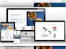 do web design, development and programming