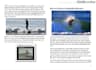 convert word to epub and mobi format