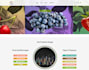 create and customize ecommerce store prestashop