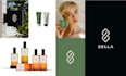 create a logo design and brand identity with brand kit package